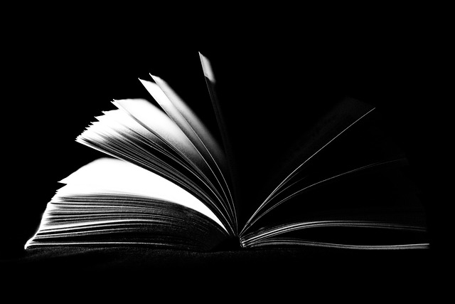 book, open, pages, literature, textbook, school, reading, information, hardcover, black and white, studying, publication, learning, university, black book, black school, black books, black learning, black reading, black study, black information, black studying, book, book, book, studying, publication, learning, university, university, university, university, university, black book, black book, black book